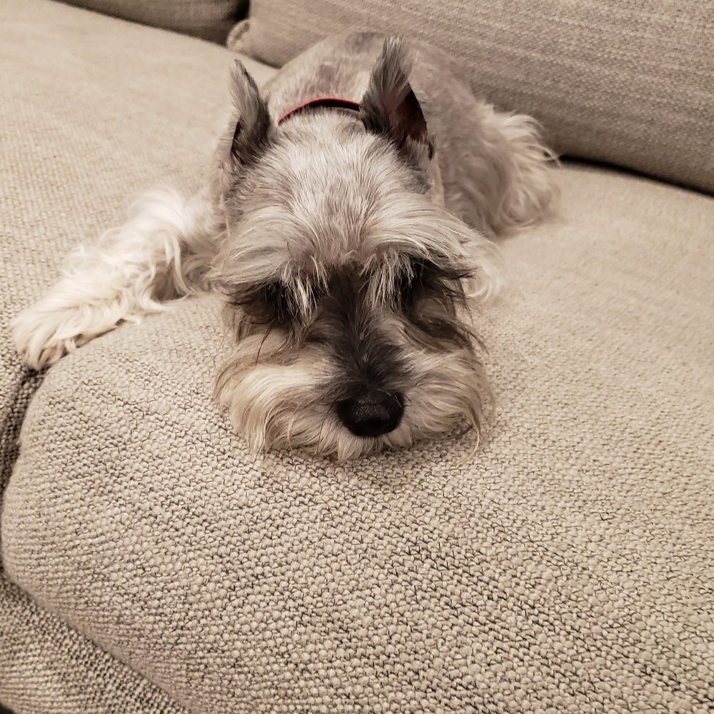 Meet your Posher, JT